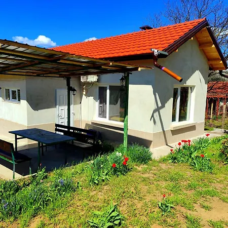 Daire Goranovi House *