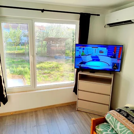 Goranovi House Daire Plevne